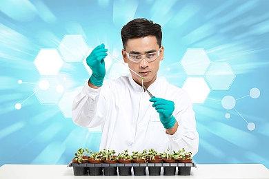 《Dinkum》在热带小岛种田 体验澳洲风情